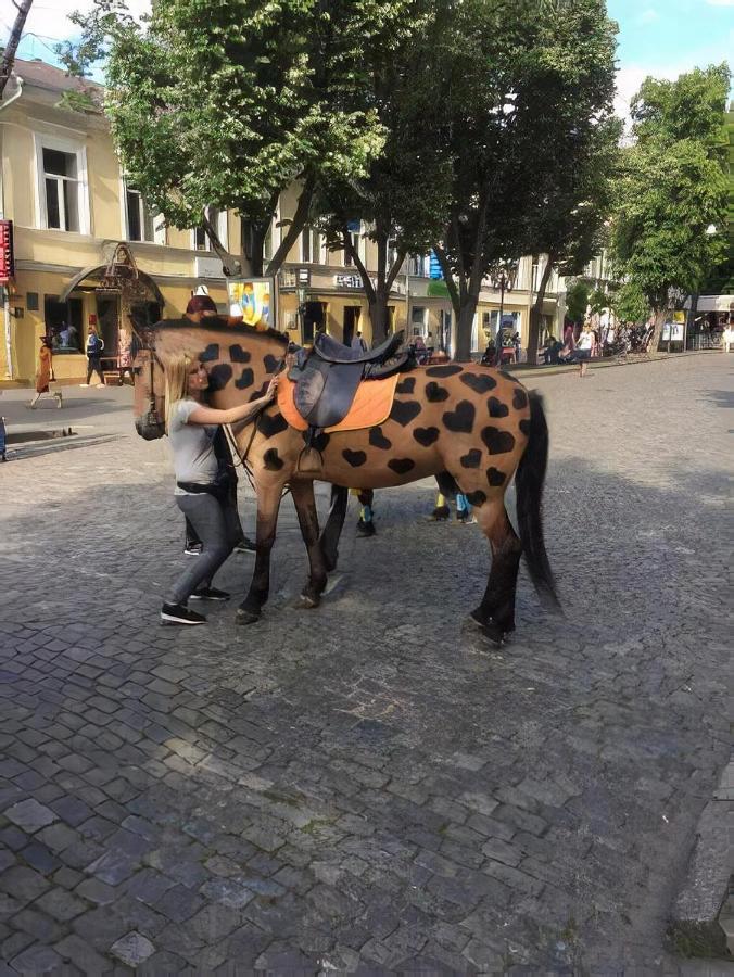 ваша квартира: у самого дерибаса 公寓 Odessa